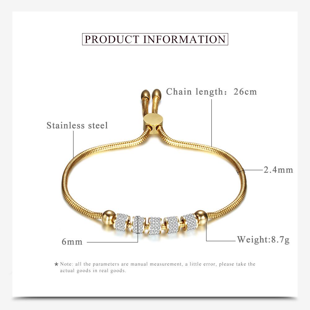 Vollzirkonium 6 mm All-Match verstellbares Schlangenknochen-Kettenarmband aus Titanstahl für Damen