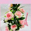 Sasanqua Camellia Thunb Potted Plant For Interior Decoration And Use Gift