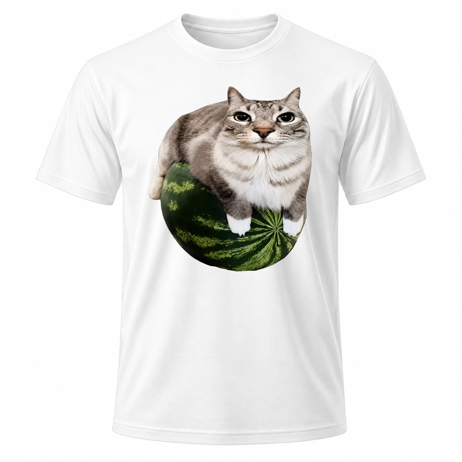Men S Funny Cat Meme White Graphic T-Shirt FR L