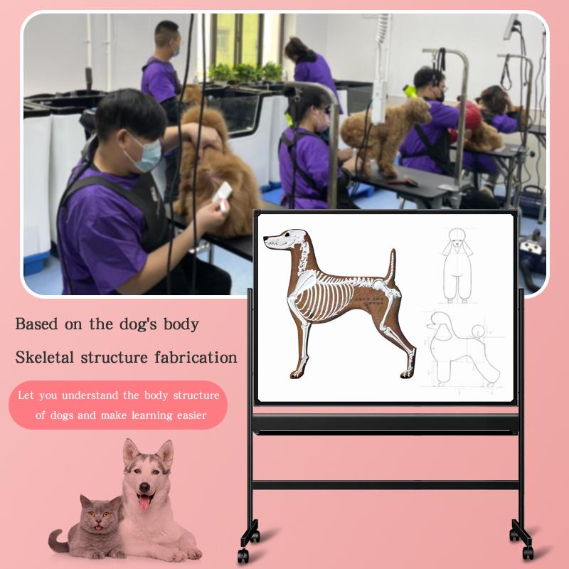 Pet Magnet Skeleton Picture Teaching Dog Magnetic Skeleton Wall Picture by Pet Beautician School 1