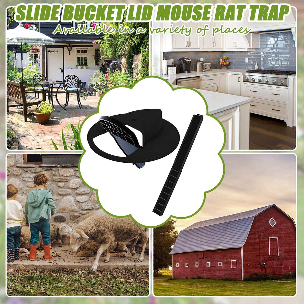 Bucket Lid Mouse Trap Humane Or Lethal Trap Door Style