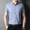Summer New Men's Shirt Young and Middle-Aged Business Casual Solid Color Thin Non-Ironing Short-Sleeved Shirt