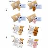 Mini Plush Bear Bear Hugs Bear Ornaments Cute Small Pocket  Home Decor