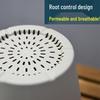 Nordic Eco-Friendly Self-Watering Planter with Tray