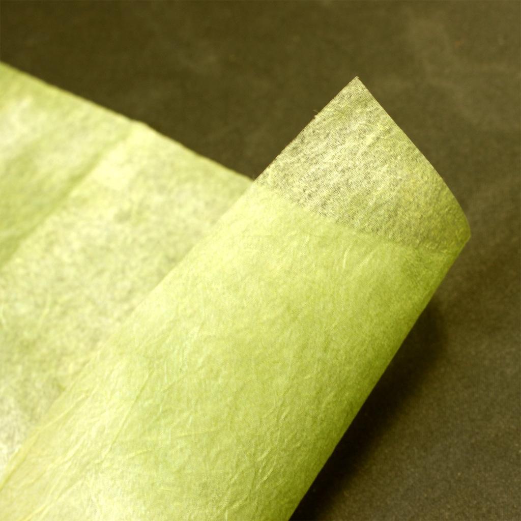 Kyoto's Elephant Washi Paper, Tosa Handmade Variety 10 Colors Set, 200x300mm 2-460