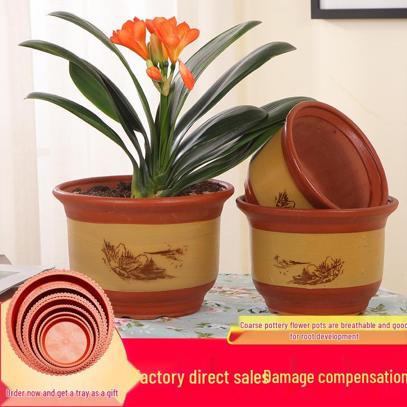 Extra Large Ceramic Clivia Terracotta Flower Pot - Breathable Purple Clay Bonsai Planter with Free Shipping