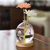 Creative Bubble Vase Hydroponic Glass Vase Transparent Pink Flower Arranger Table Decoration Ornament Nordic Home Decor