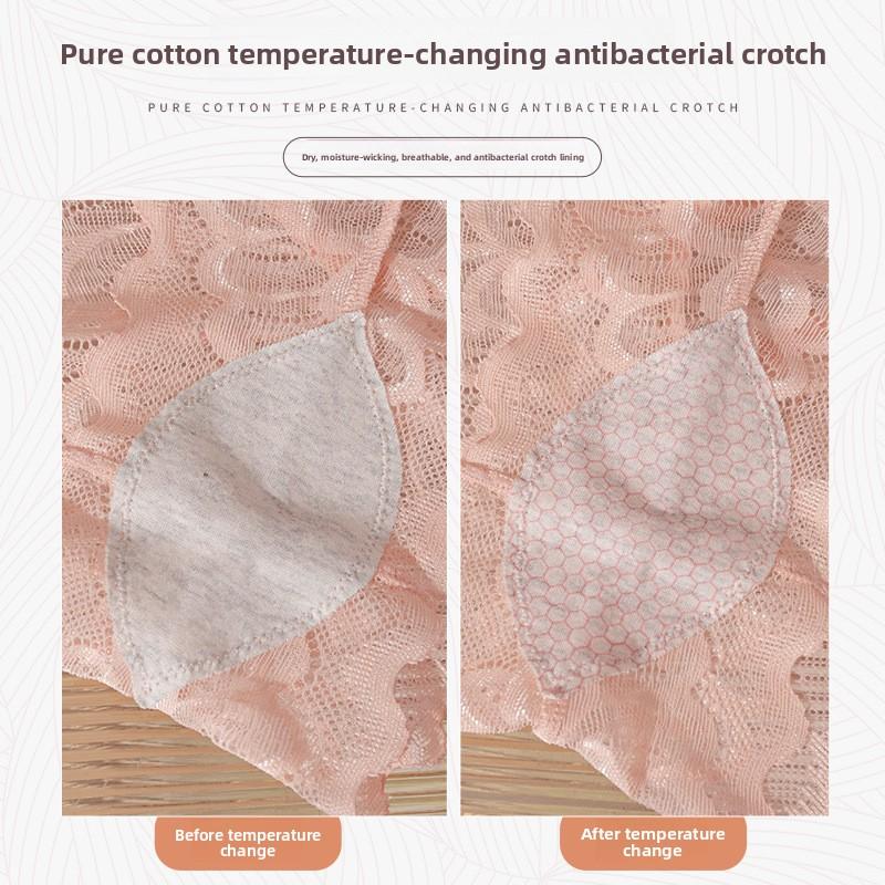 Women's Spring and Summer Pure Double Lace Fast Dry Mesh Low Waist Briefs