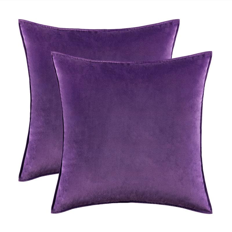 

Mauve Velvet Cushion Covers for Sofa Nordic Gift Luxury Decorative Pillow Cover Ultra Soft Pillowcase 45x45cm 30x50cm Cojines 30x50cm 2pcs cover