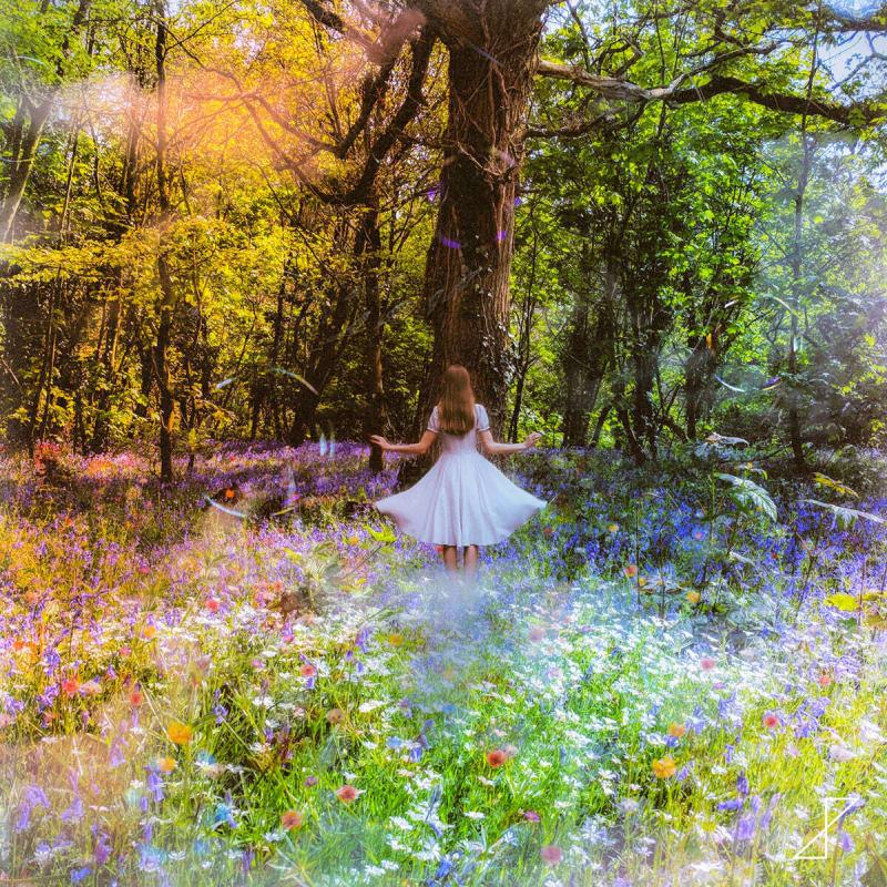

Daedong - EP: The Dreamer s Garden