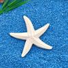 Stelle marine in resina Articoli decorativi per acquario in stile mediterraneo