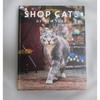 Cat Photo Collection SHOP CATS York