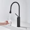 TLXT Black Electroplated Pull-Out Bathroom Sink Faucet