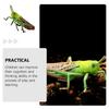 Model Locust Animal Toddler Christmas Decorations Ornaments Plastic Kid Cognitive Toy