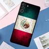 Mexican Pride Eagle Flag Case For Samsung Galaxy S24 Ultra S21 S22 S23 S25 Ultra S9 S10 Plus S20 FE S25 FE Back Cover