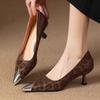 French 2025 Spring and Autumn New Temperament Light Luxury Elegant Leopard Print Fine Heel Pointed Head Versatile Light Mouth High Heel Single Shoes W