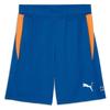 Puma Shorts Individual Training