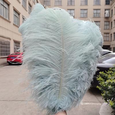 Piume di Struzzo Naturali 15-60 cm | Alta Qualità Per Fai da Te, Matrimonio, Festa, Palco, Costume & Decorazione Casa | Vari Colori Disponibili