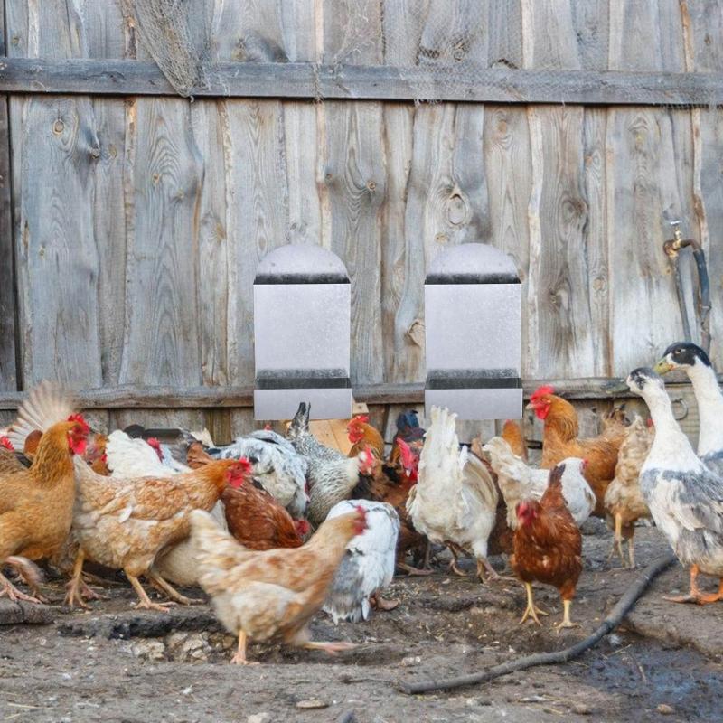Chicken Feeder Mineral Crushed Food Container Promotes Healthy Digestion And Eggs Formation Easy Installation Feeders