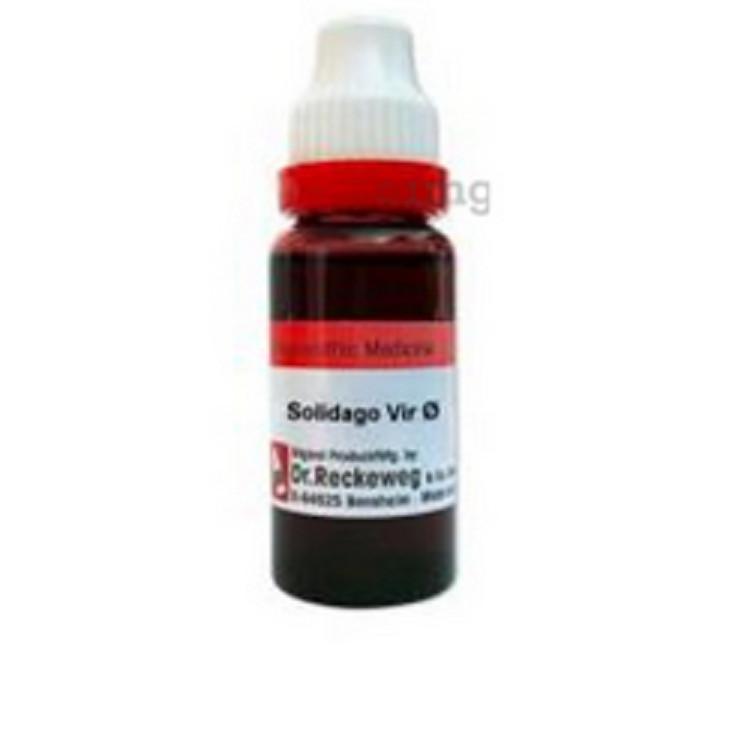 

@ Dr. Reckeweg Solidago Virgaurea Q Homeopathic Medicine 20 ml Zr-2842-60%Off