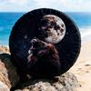 Majestic Lion Roaring Full Moon Tire Cover, Powerful and Mystical Design with Deep Black Starry Sky Background, Suitable for Pickup Trucks/Jeeps/Touri