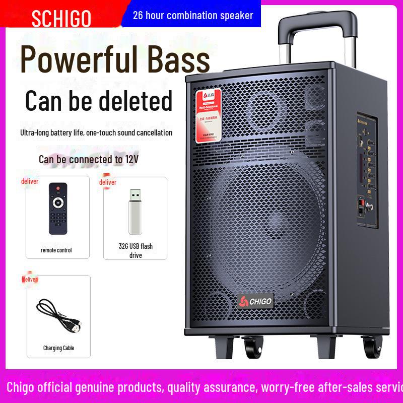 Chigo High-Power Outdoor Bluetooth Trolley Speaker for Music & Karaoke