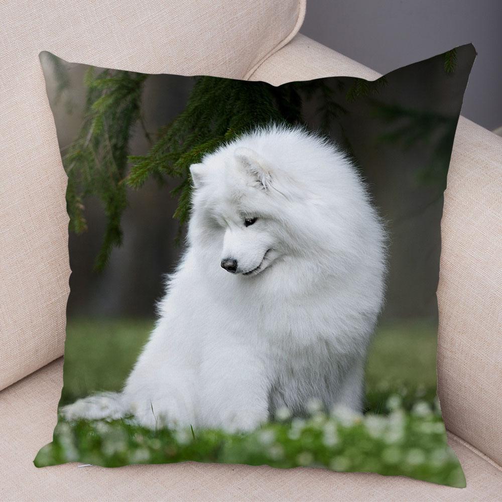 50 Stil Husă de Pernă Câine Alb Drăguț Samoyed Decor Husă de Pernă Animal de Companie Iubitor Husă de Pernă Moale de Pluș pentru Canapé Cameră Copii