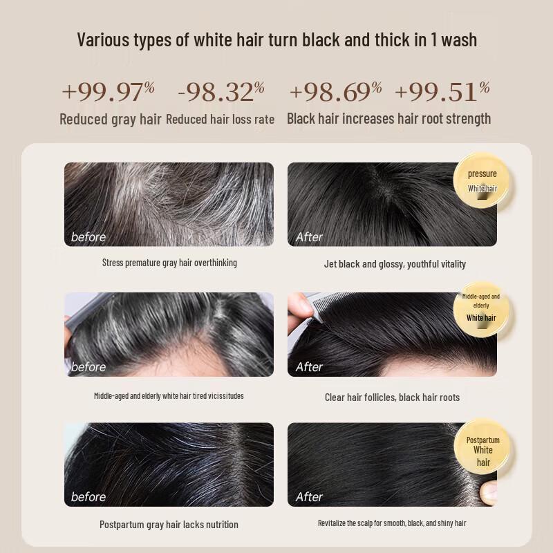 RUYI He Shou Wu Black Hair Shampoo