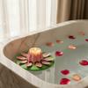 Surfing şi scufundări – Piscine şi accesorii