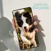 Beautiful Fun Border Collie Dog Puppies Case For Samsung Galaxy A42 A31 A40 A51 A71 A32 A80 A91 A52 A72 A73 A20e A50 A70 A11 A12
