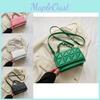 Schicke Damen Winter Umhängetasche im Koreanischen Stil Elegante Kleine Quadratische Crossbody Tasche