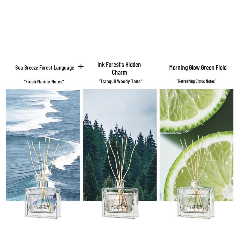 Joyroom Indoor Flameless Fragrance Diffuser 3-Pack