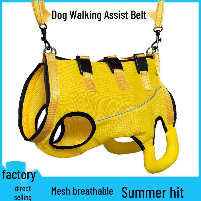 Podpůrný oblek pro mobilitu starých a hendikepovaných psů