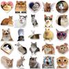 10/30/50pcs Cute Funny Animal Cat Meme Stickers Kawaii Kitten Graffiti Sticker DIY Scrapbook Phone Luggage Diary Decals Toy Gift