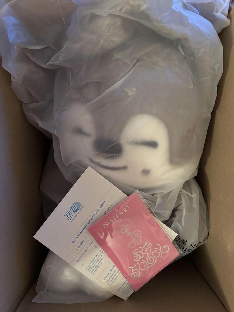 [USED] Straykids SKZOO Teddy Bear Wolfchan Teddy