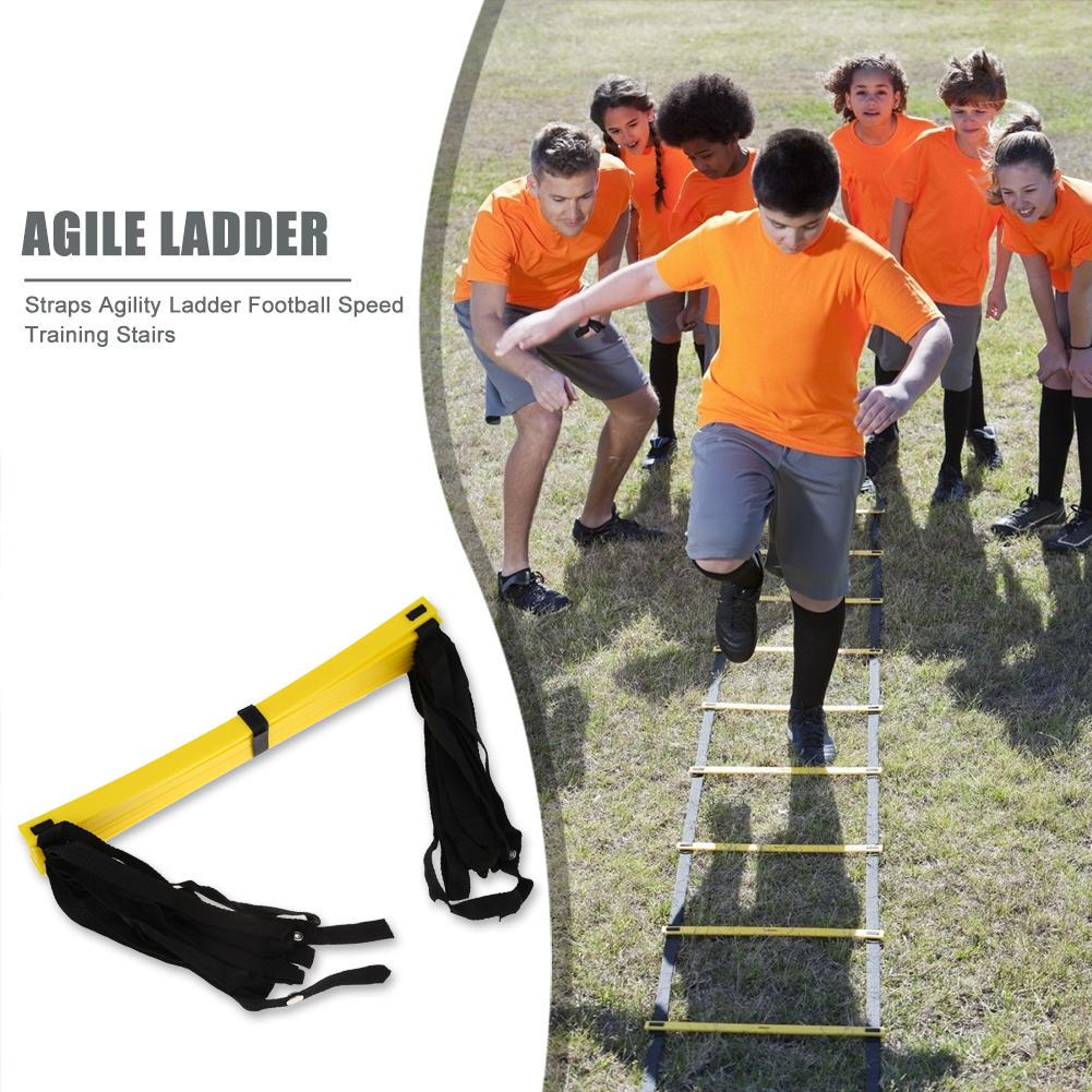 agile ladder