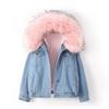 Women's Cozy Padded Denim Jacket - Casual Button Down With Fur Collar