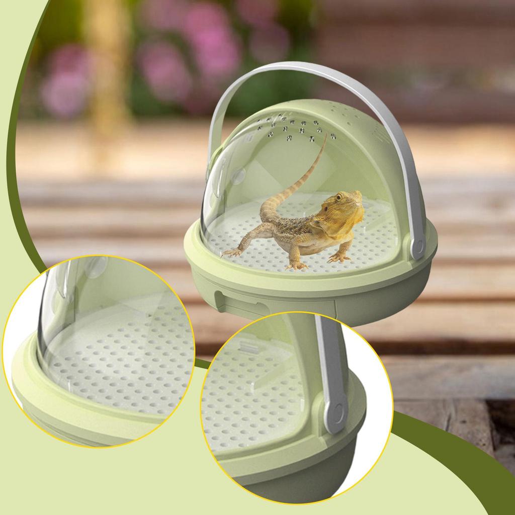 Reptile Feeding Box Habitat Gifts Spacious Multifunctional Easy to Clean with Handle Clear Tarantula Enclosure for Office