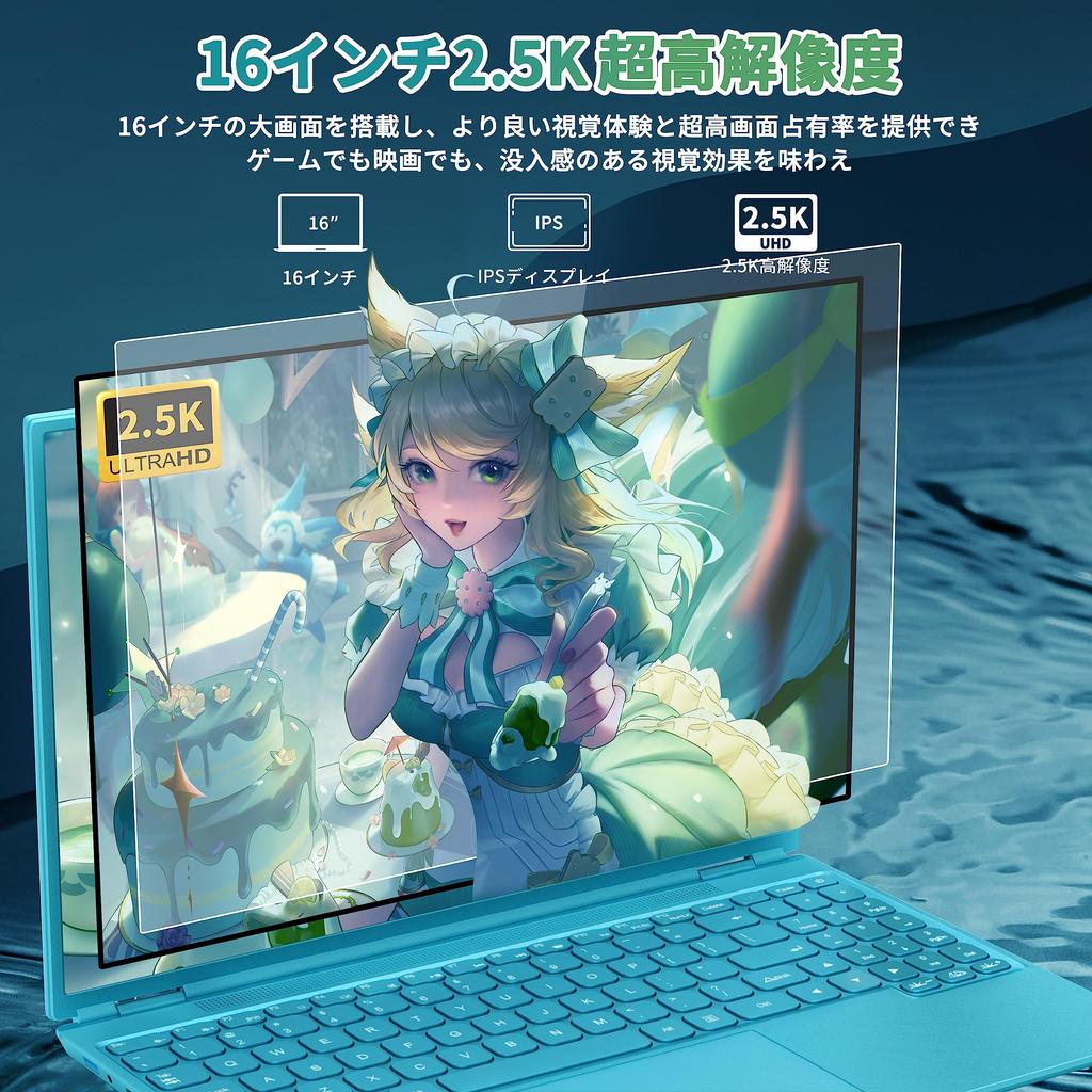 Large Screen Laptop 11 Installed MS Office 2019 PC Notebook Intel Celeron N5095 CPU To LCD IPS Resolution Memory DDR4 16GB SSD 960GB Fingerprint
