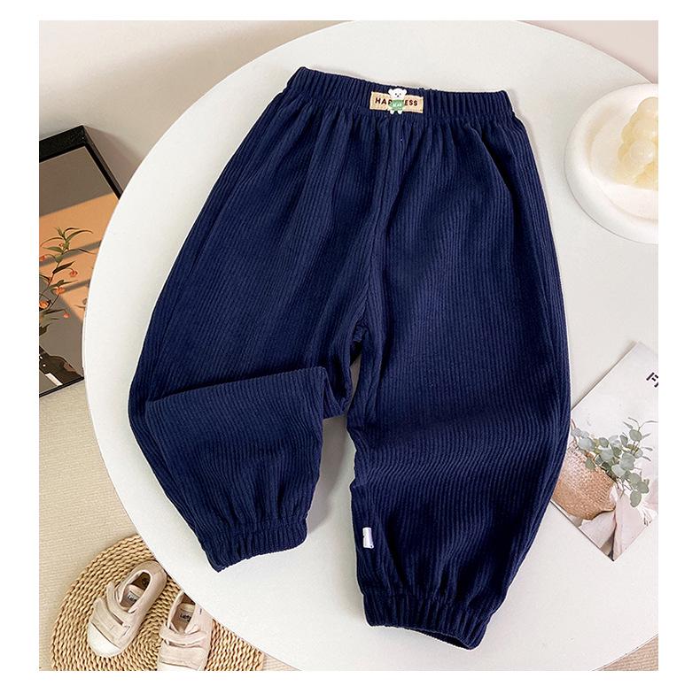 

Детские флисовые спортивные штаны в корейском стиле - Спортивная повседневная одежда 100 cm темно-синий