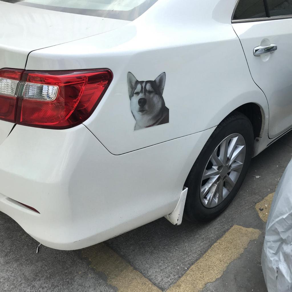 Autoaufkleber, Decals Wasserdicht Husky Hund für Boot Kratzaufkleber