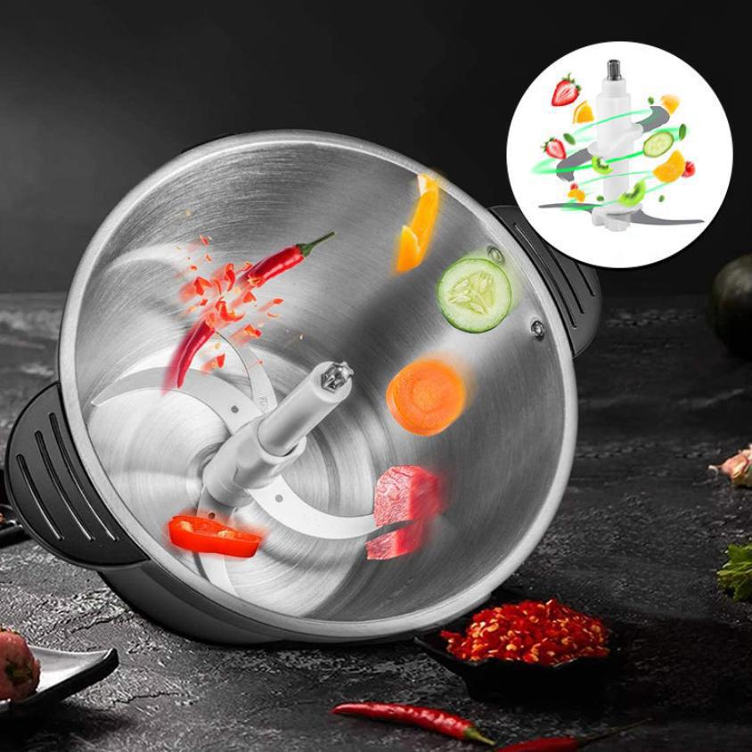 Multifunctional 4L Stainless Steel Meat Grinder and Food Processor (110V/220V)