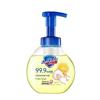 Safeguard Antibacterial Foaming Hand Soap
