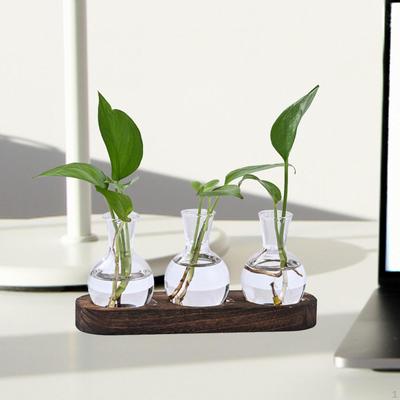 Hydroponic Plant Pot Desktop Glass Vase Plants Holder Stem Bunch Storage Flower