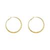 Fashion Stud Earrings with Large Hoop Designs, Women's New Style, High-end and Luxurious Style Ear Ring Accessories
