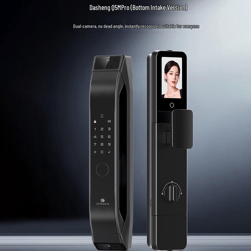 DESMAN Q5MPro Smart Door Lock