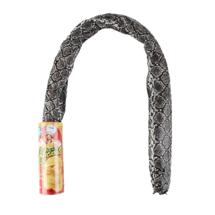 Funny Potato Chip Can Jump Spring Snake roach Toy Gift April Fool Day Halloween Party Decoration Prank Trick Fun Joke Toys