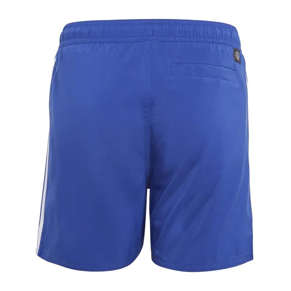 Adidas Boys Striped Swimming Shorts