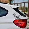 20X16CM Die-Cut Vinyl Decal Eye No Fear Car Sticker Waterproof Auto Decors On Car Body Bumper Rear Window