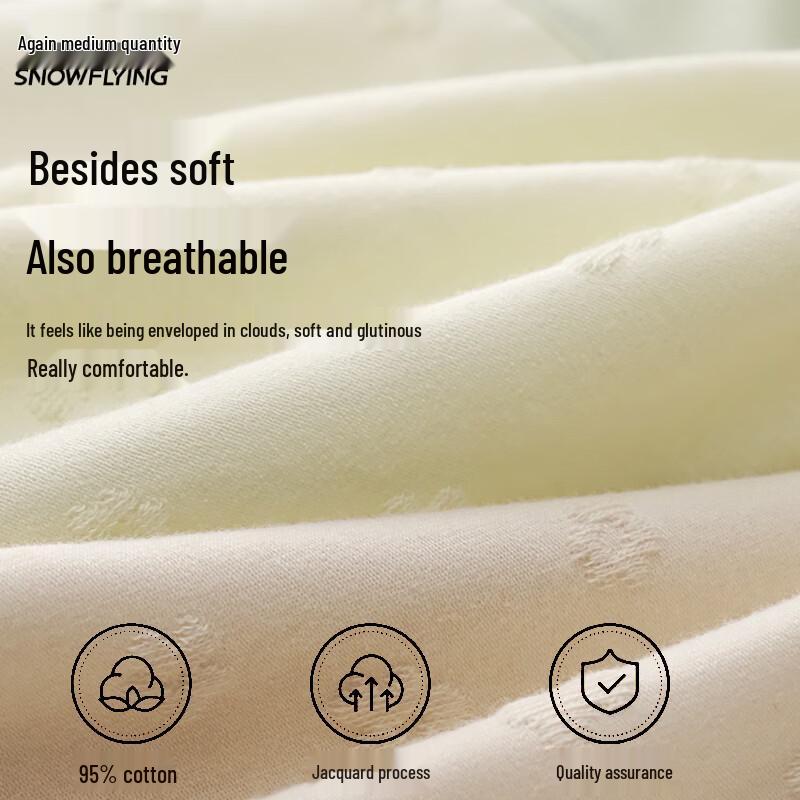 SNOWFLYING Women's 4-Pack Seamless Cotton Antibacterial Briefs